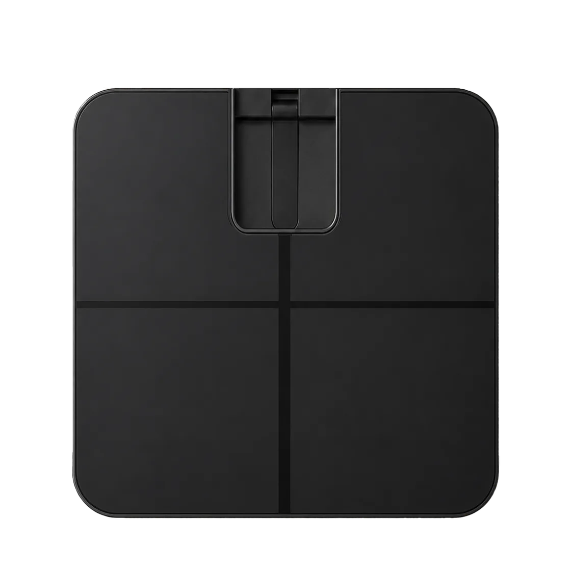 ScalePro scale dock